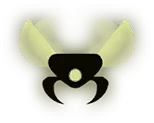 Spikeshell Beetle