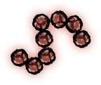 Chain Spore