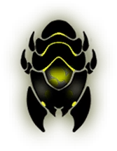 Elite Armored Insect